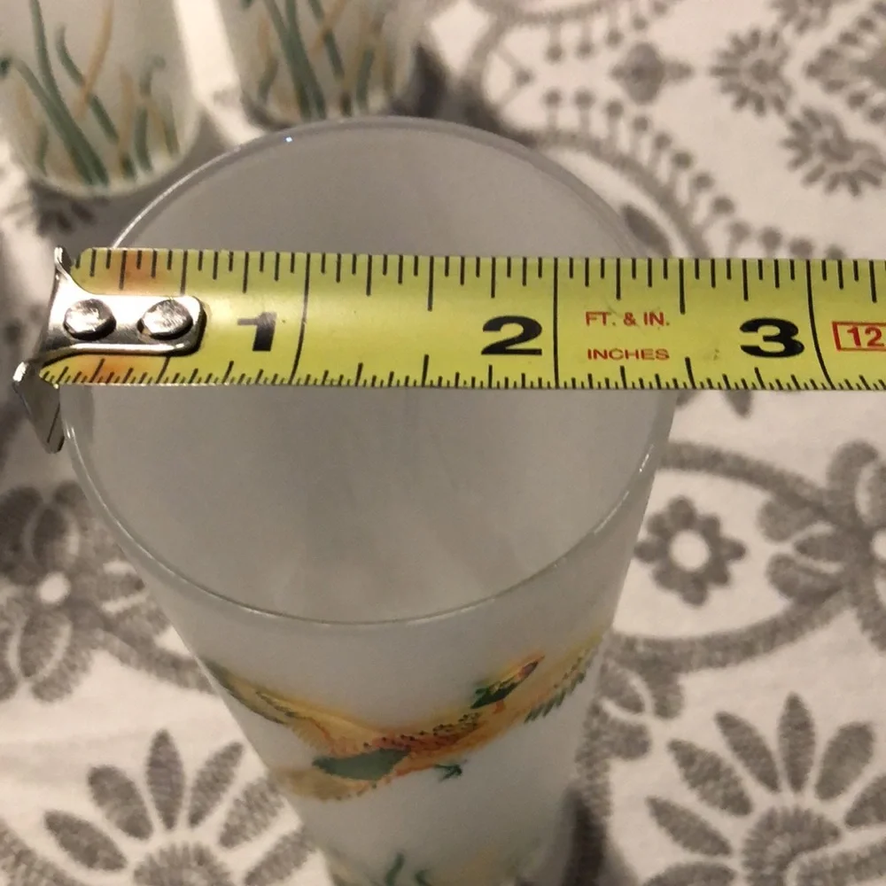 Vintage frosted flying wild birds highball glasses - Picture 3 of 4
